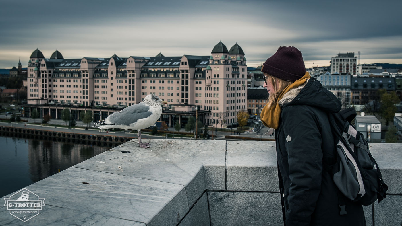 On the roof of the opera. 