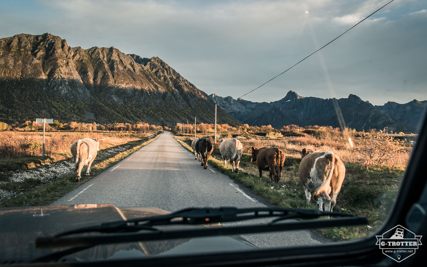 Bild 7 der Bildergalerie “Straßen von Norwegen”